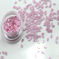 Nylon Glitter Flakes PET yeux de cheval paillettes pour Nail Art